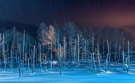 北海道雪景詩