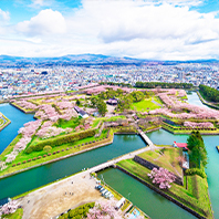 北海道登別函館溫泉櫻花之旅五日-洞爺湖花火節三大蟹和牛涮涮鍋水酒無限暢飲溫泉