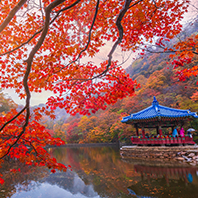 釜山滑雪趣五日《不進人蔘、保肝》伊甸園滑雪、汗蒸幕體驗、膠囊列車、洛東江鐵道自行車