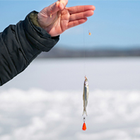 北海道登別函館洞爺三溫泉、玩雪冰釣體驗、螃蟹海鮮啤酒暢飲五日