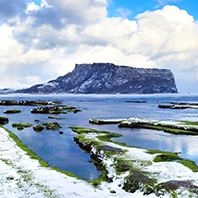 感恩大回饋買一送一！星閃濟州五日【彩妝1站】全程四星級、泰迪熊、雪綠茶博物館、文化遺產、藥泉寺、跆拳道秀、澎派海鮮鍋