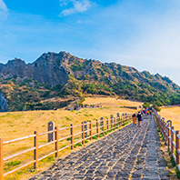 六人成行柑來濟州五日【無購物】漢拏山健行、牛島、城山日出峰、海女館、翰林港、全程四星級飯店、黑毛豬烤肉+澎派鮑魚海鮮鍋