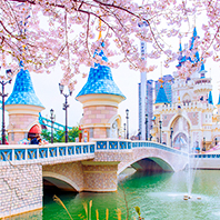 海陸空樂翻天五日《不進人蔘保肝》升等乙晚市區、樂天、世界塔、水族館三大主題、天空纜車、水上計程車、鐵路自行車