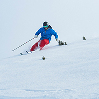 韓天雪舞五日【彩妝1站】樂天世界、上世界塔、歡樂滑雪場、採草莓、五星級酒店1晚、五香豬腳、海鮮鍋、烤肉吃到飽