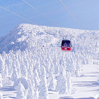 東北天空雪怪之路藏王樹冰、雪中狐狸樂園藏王狐狸村、溫泉六日