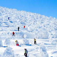 東北藏王樹冰、銀山溫泉、雪樂園、賞梅溫泉五日