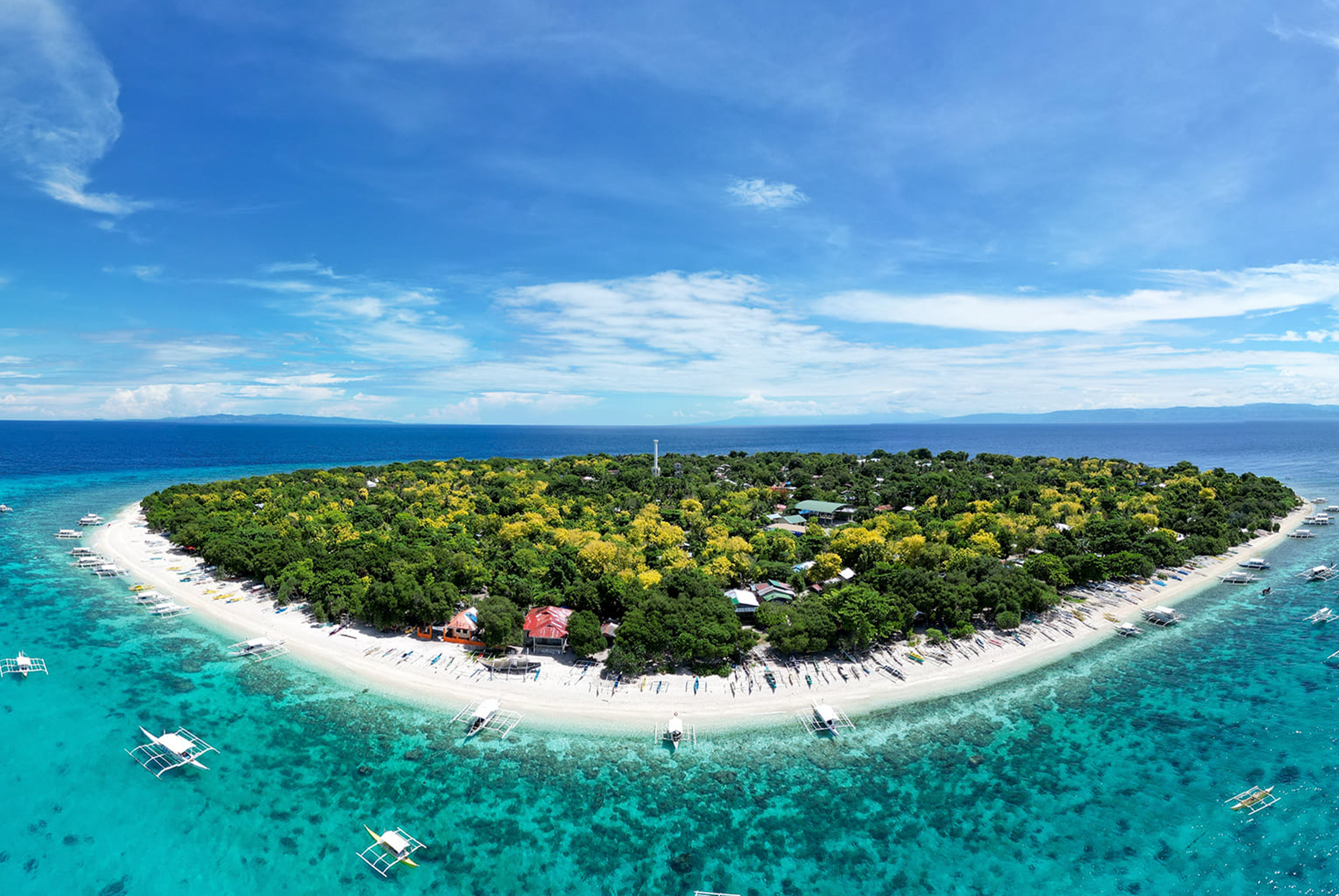 鯨艷宿霧五日《6人成行》