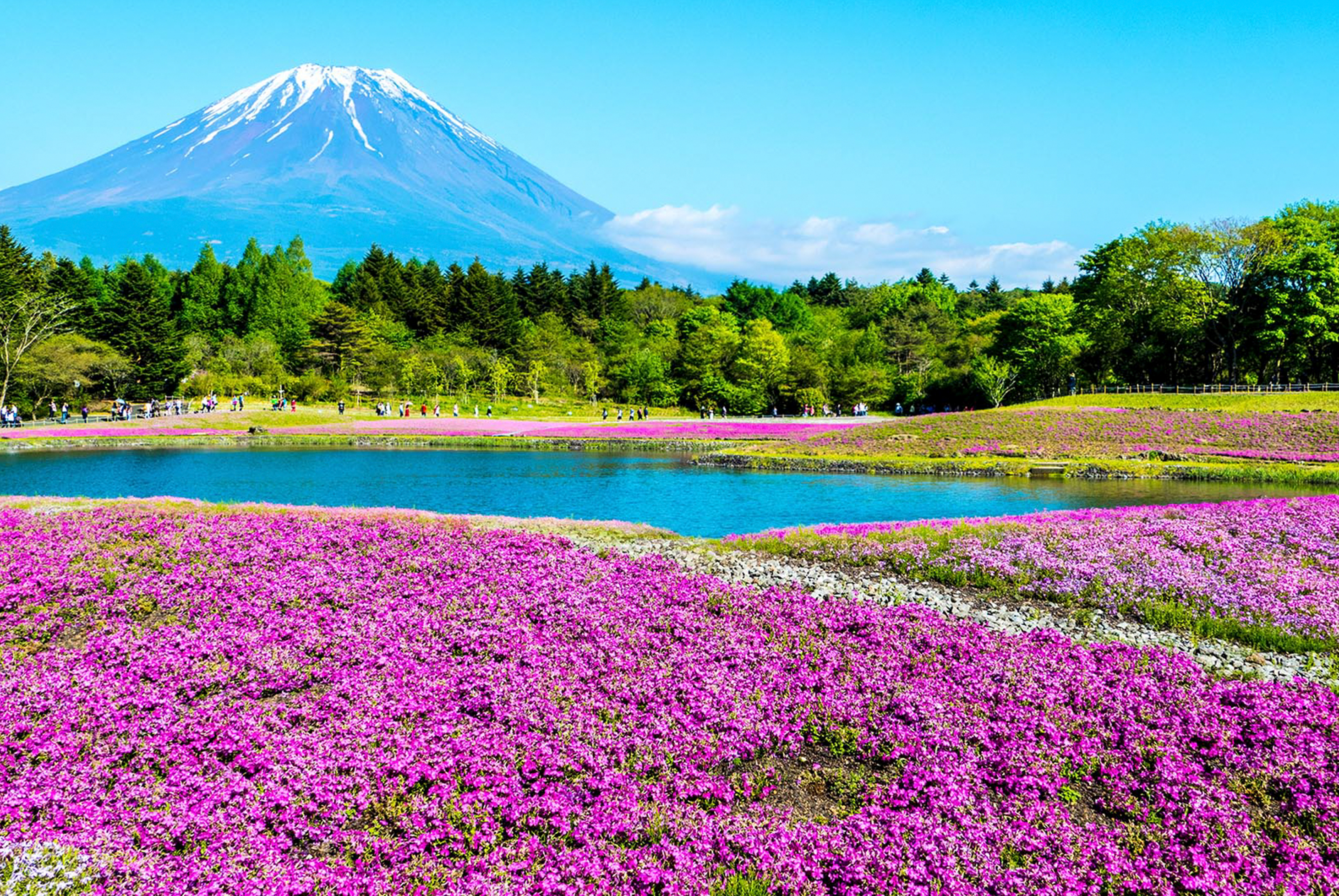 東京立山黑部雪牆六日