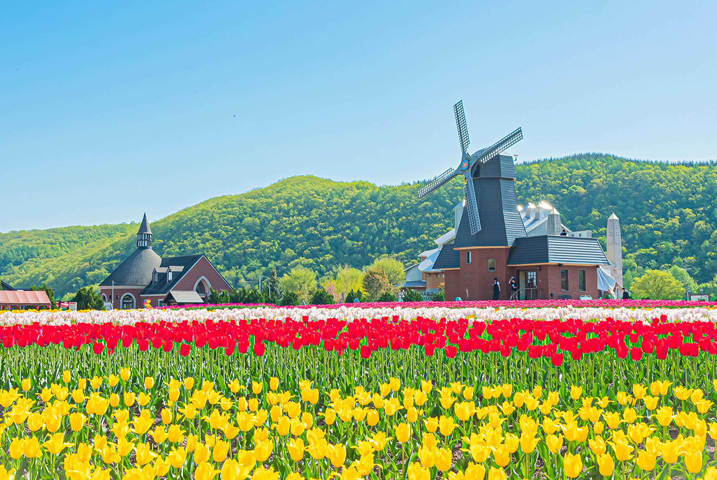 櫻為有你北海道道東五日