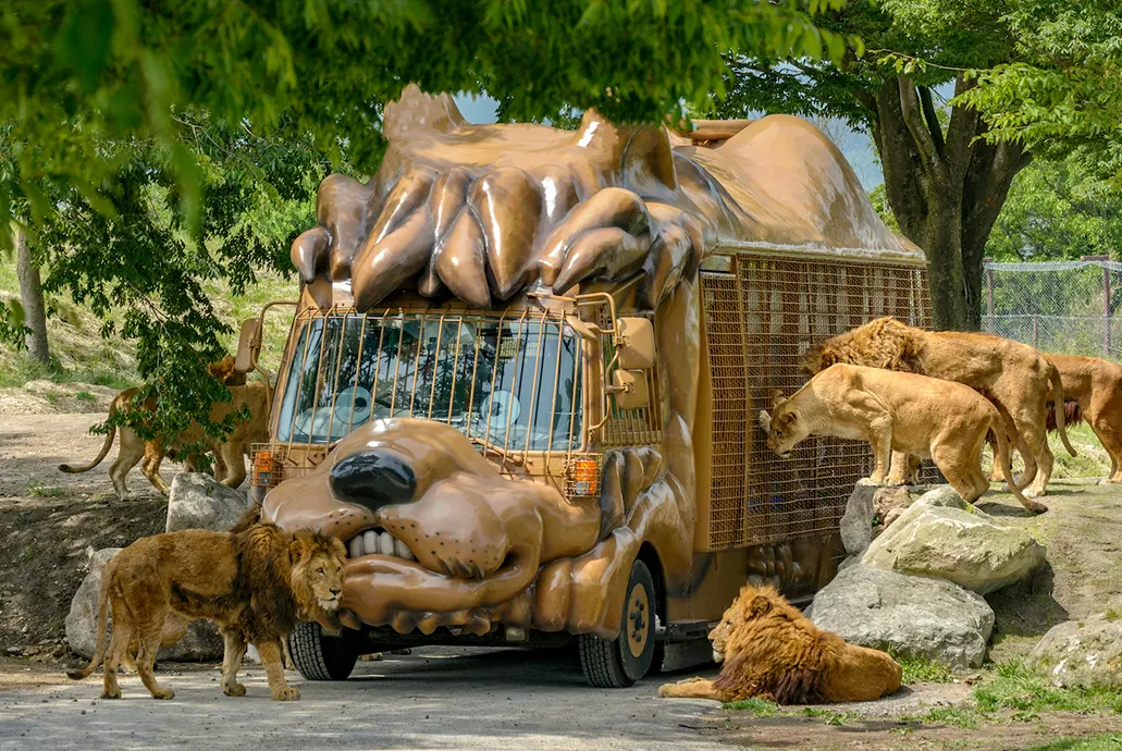 熊本FUN風親子同樂必選五日