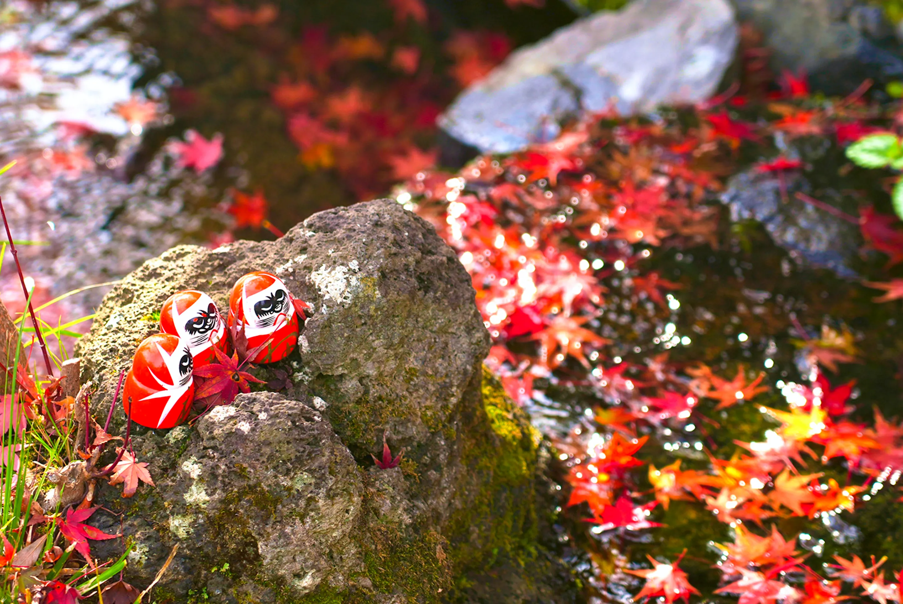 楓戀關西嵐山屋形船紅葉秘境5日