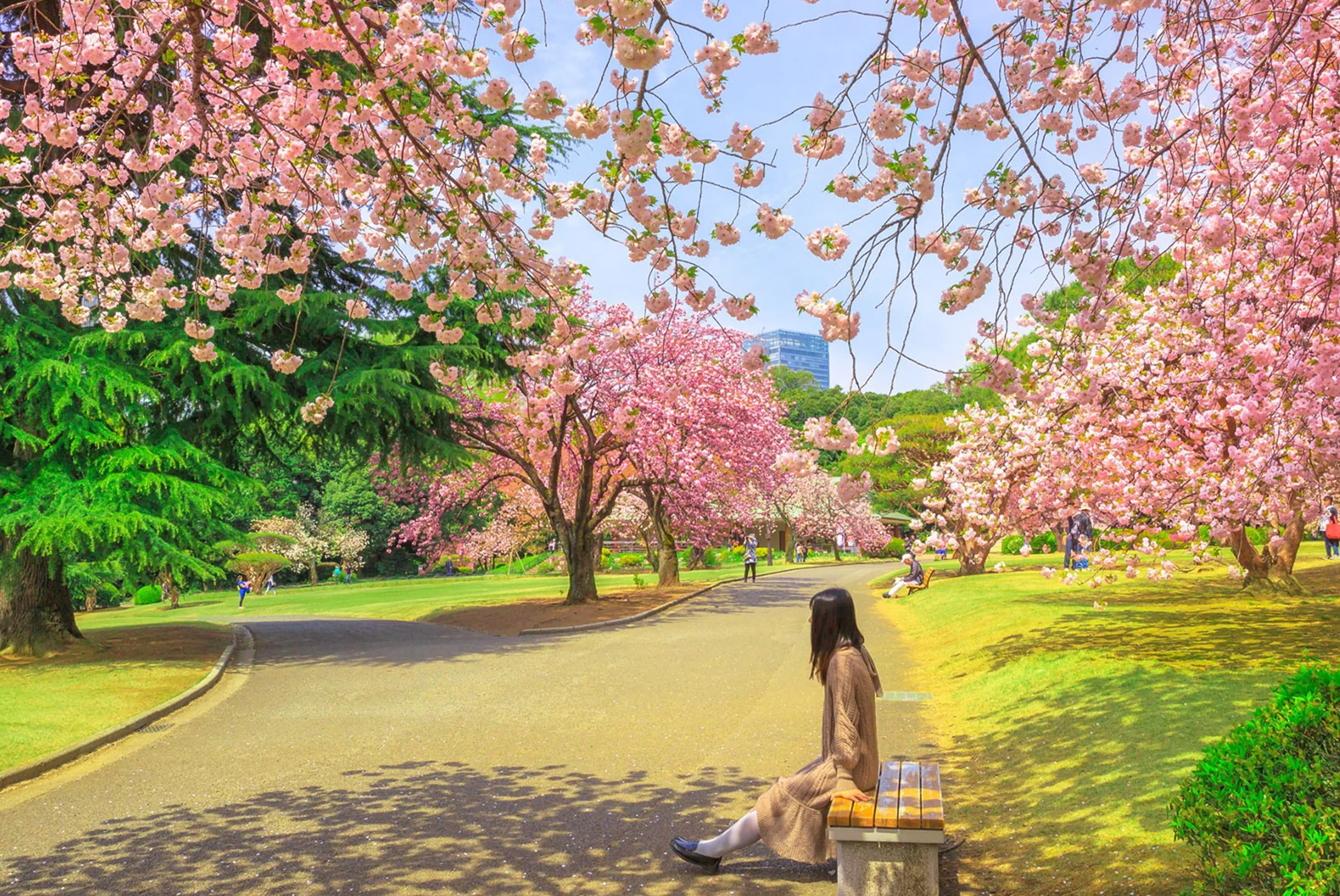 東京春櫻花海浪漫輕井澤雙溫泉五日