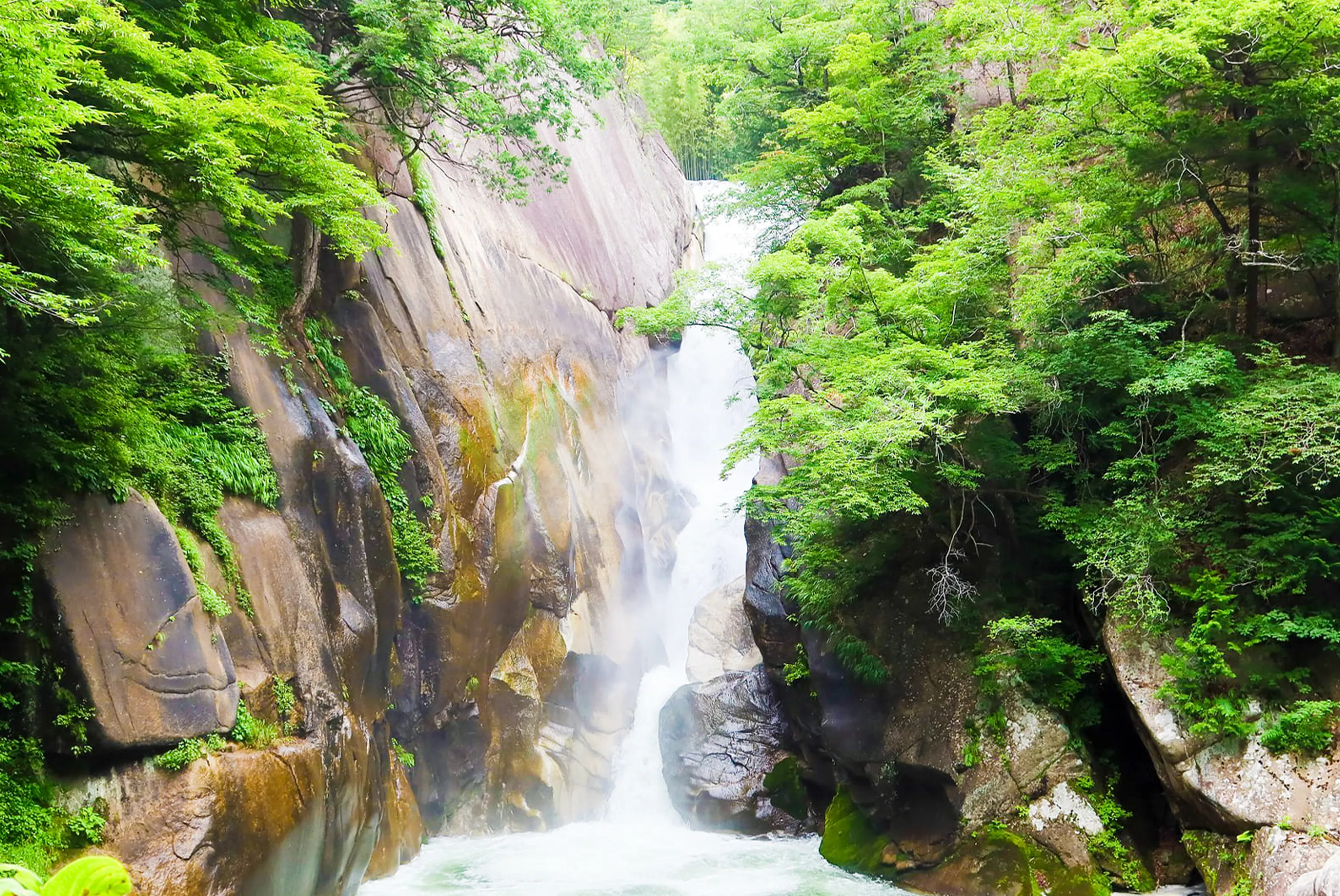 秩父多摩甲斐國立公園紀行五日  