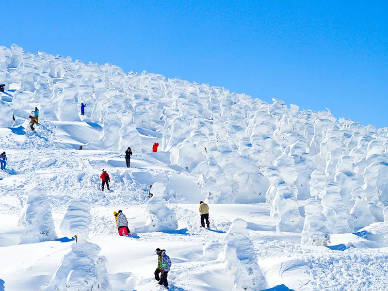 星宇東北天空雪怪之路六日