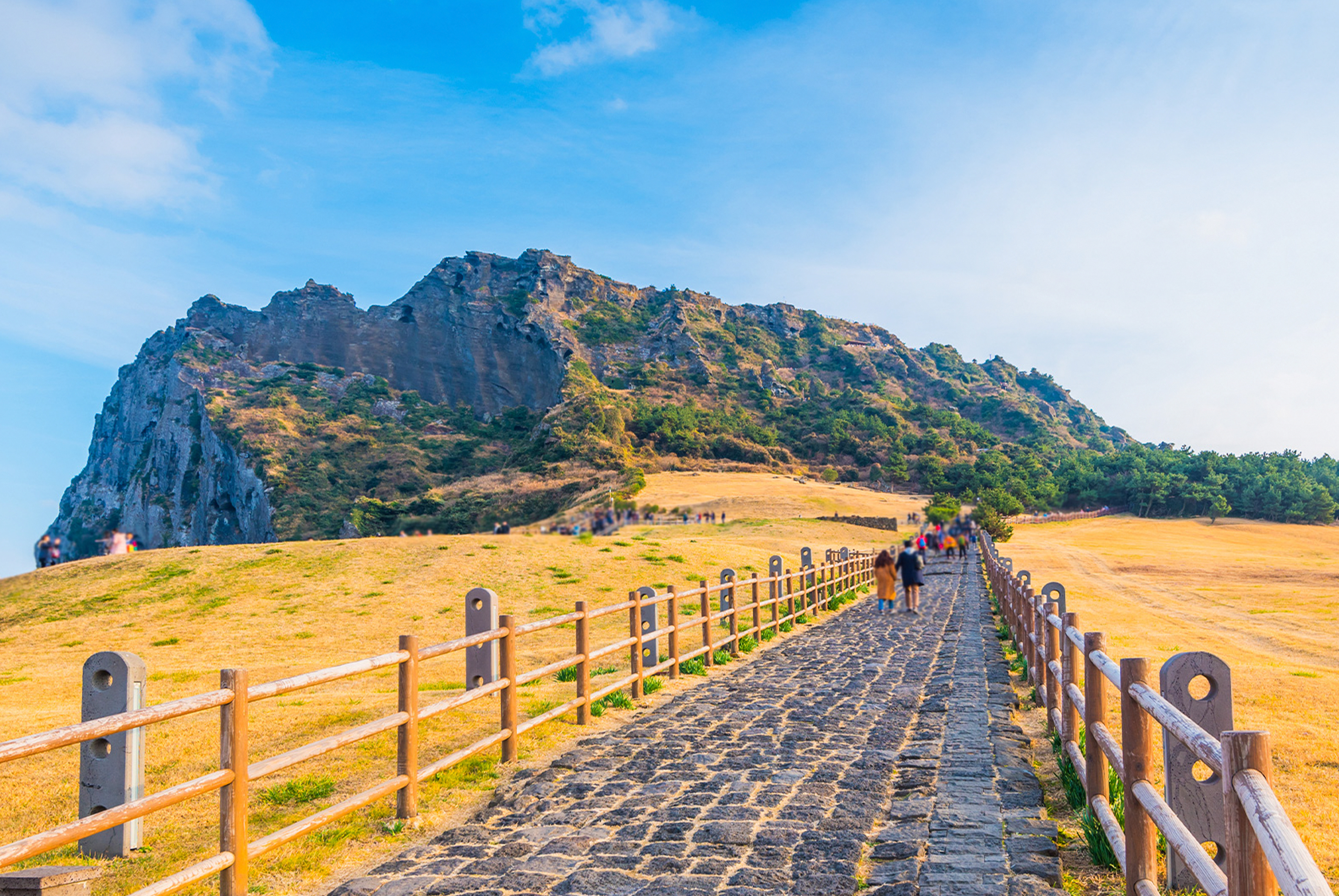 柑來濟州五日《6人成行》