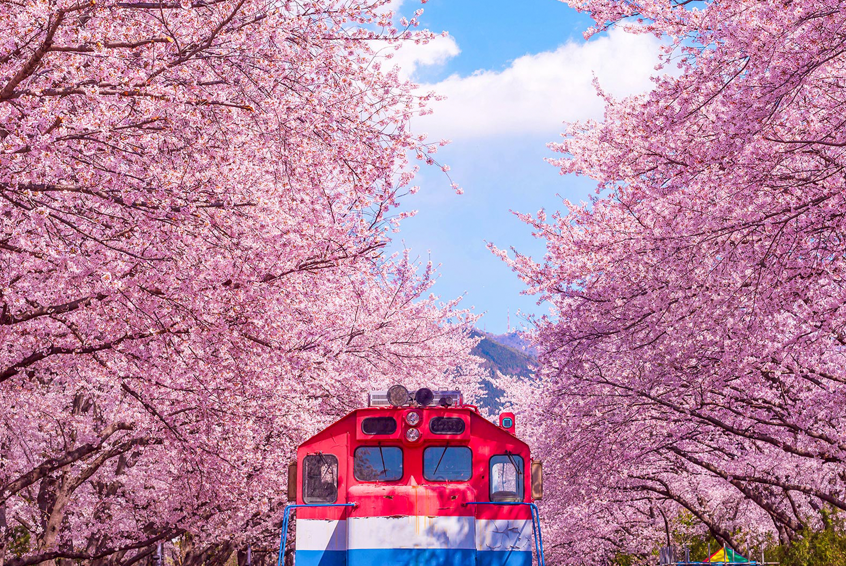 花現釜山五日《彩妝1站》